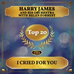 I Cried For You
