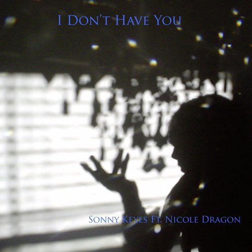 I Don't Have You (feat. Nicole Dragon)_poster_image