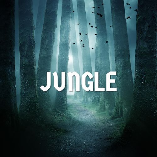 JUNGLE