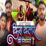 Kis Coulor Ki Pichakari Hai