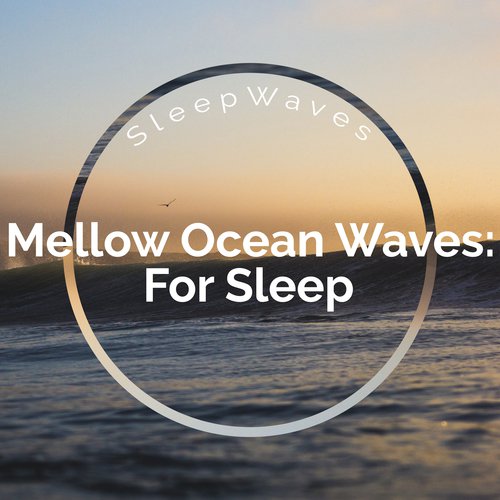 Dynamic Waves cover art