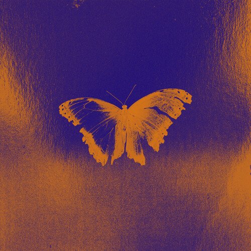 None of the Keys Fit