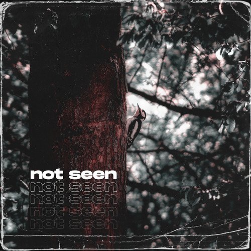 Not Seen
