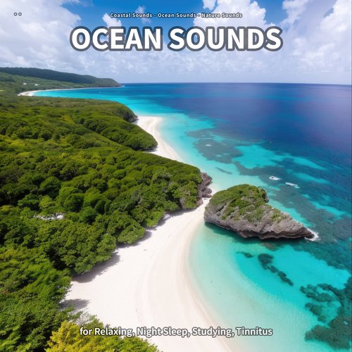 * * Ocean Sounds for Relaxing, Night Sleep, Studying, Tinnitus_poster_image