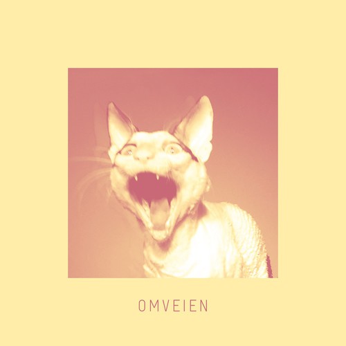Omveien (Radio Edit) cover art