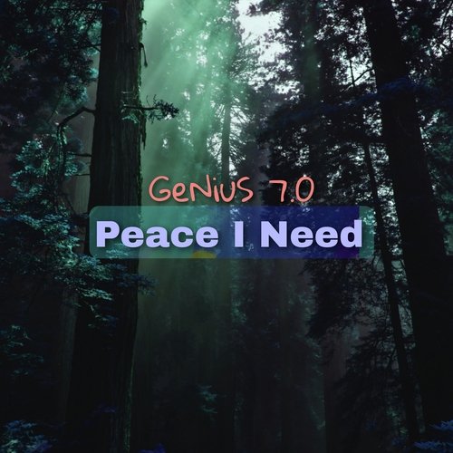 Peace I Need