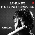 Sanam Re - Flute Instrumental
