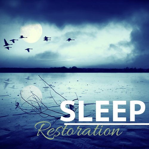 Restful Sleep Academy