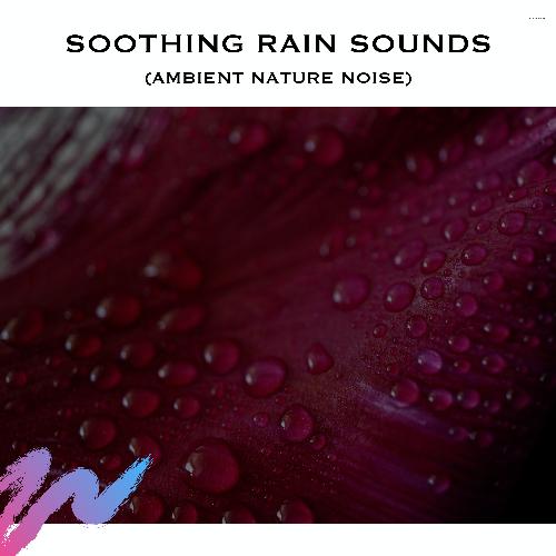 Soothing Rain Sounds (Ambient Nature Noise)