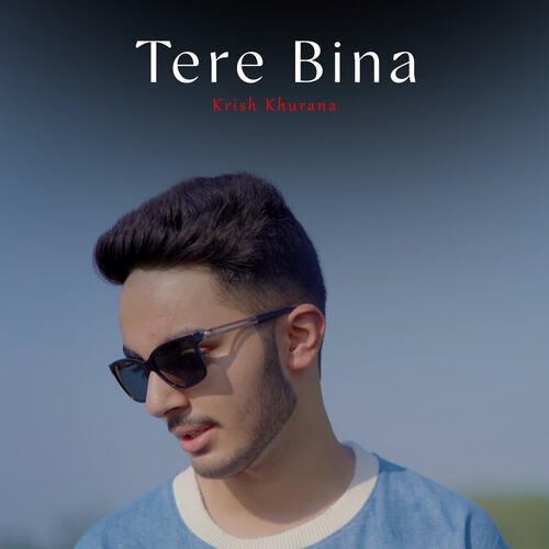 Tere Bina