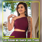 Teri Kodani Me Kanch Lage Pyaro