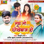 Tum to dhokhebaj ho