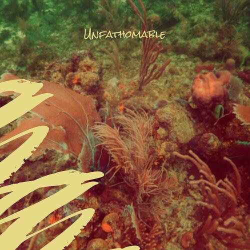 Oxygenators cover art