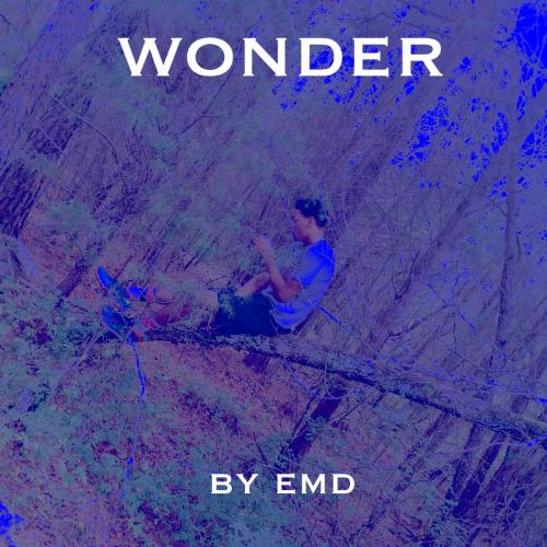 Wonder