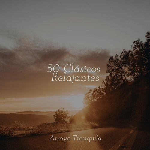 50 Clásicos Relajantes