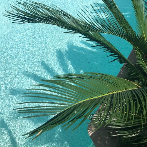 Inner Focus cover art
