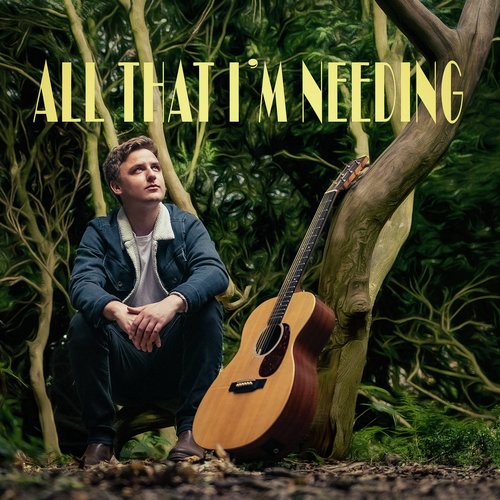 All That I'm Needing