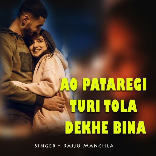 Ao Pataregi Turi Tola Dekhe Bina cover art
