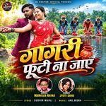 गगरी फूटी ना जाए