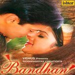 Bandhan Title Song