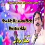 Hao Ada Bus Awen Bhala