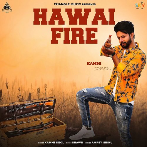 Hawai Fire_poster_image