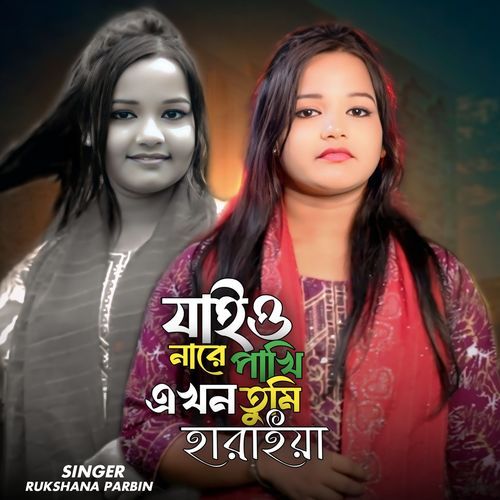 Jaio Nare Pakhi Akhon Tumi Haraiya