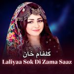 Laliyaa Sok Di Zama Saaz