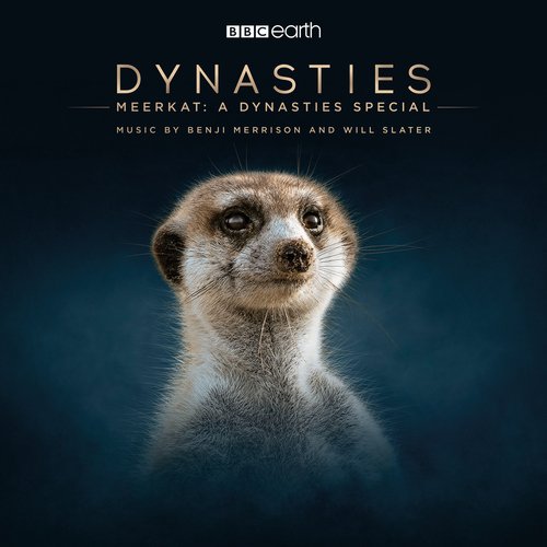 Meerkat: A Dynasties Special (Original Television Soundtrack)_poster_image