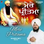 Mere Pritaamaa