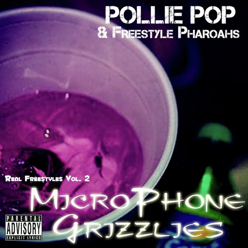 Microphone Grizzlies_poster_image