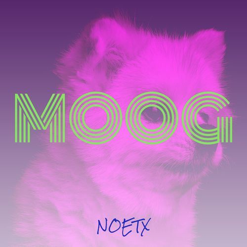 Robbie cover art