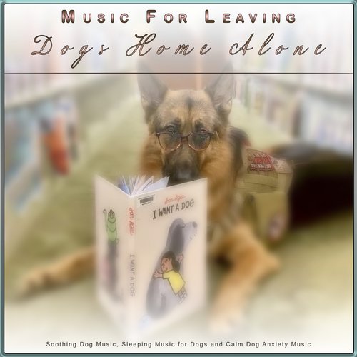 Music For Leaving Dogs Home Alone: Soothing Dog Music, Sleeping Music for Dogs and Calm Dog Anxiety Music_poster_image