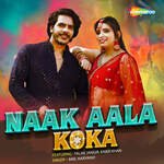 Naak Aala Koka