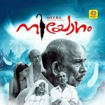 Ponnayi Minnunna Pakale