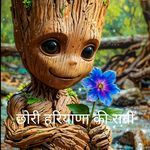 छोरी हरियाणा की रानी