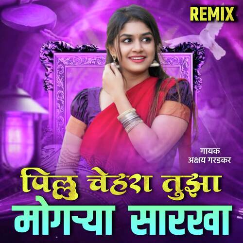 Pillu Tuza Chehara Mogarya Sarkha (Remix) 11