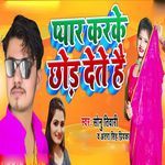 Pyar Karke Chhod Dete Hai