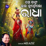 Se Bata Bhala Nuhein Lo Radha