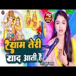 Shyam Teri Yad Aati Hai