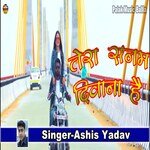 Tera Sanam Deewana Hai (Bhojpuri)