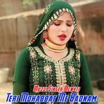 Teri Mohabbat Me Badnam