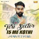 Teri Sector 15 Me KOthi
