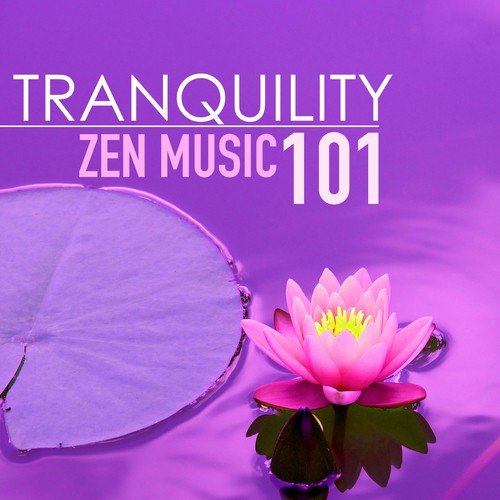 Nature Meditation cover art