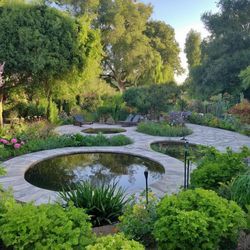 Wintry Whispers in the Sun