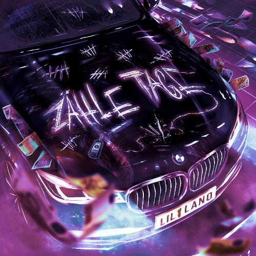 Zähle Tage cover art