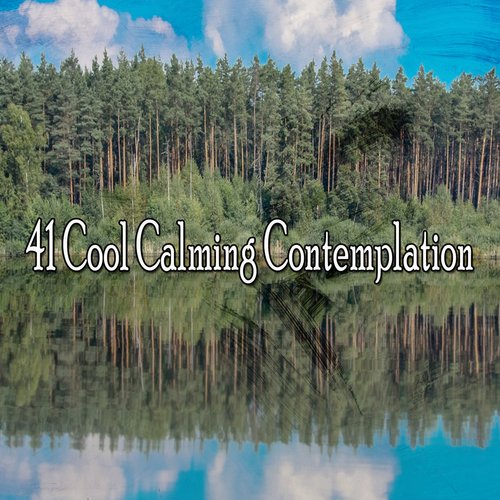 41 Cool Calming Contemplation_poster_image