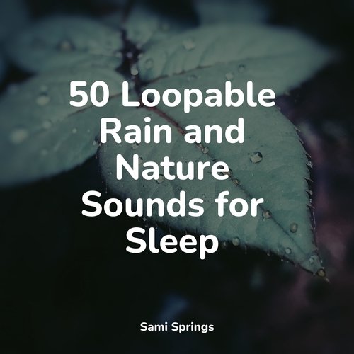 50 Loopable Rain and Nature Sounds for Sleep