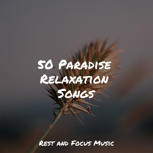 50 Paradise Relaxation Songs_poster_image