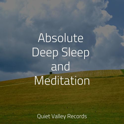 Sleep Music cover art